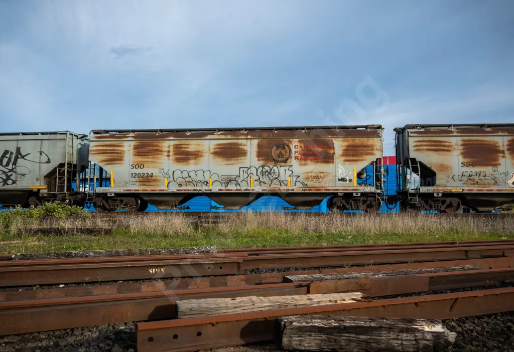 SOO120234 - NORTH-AMERICA