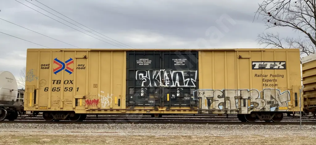 TBO665591 - NORTH-AMERICA