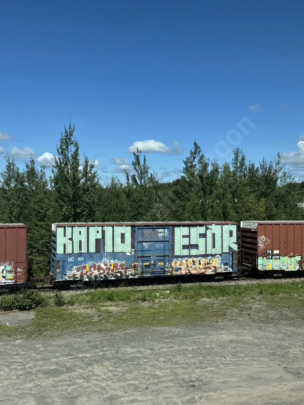 Train photo