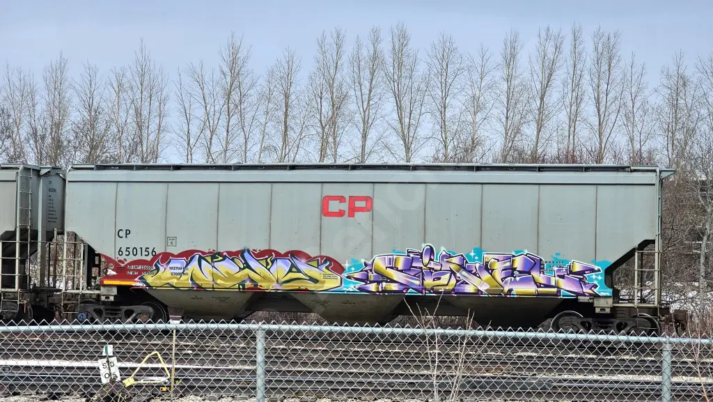 CP650156 - NORTH-AMERICA