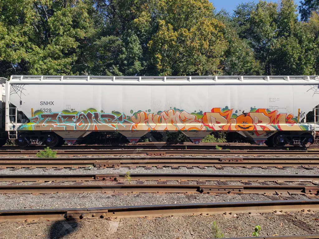 SNHX5328 - NORTH-AMERICA