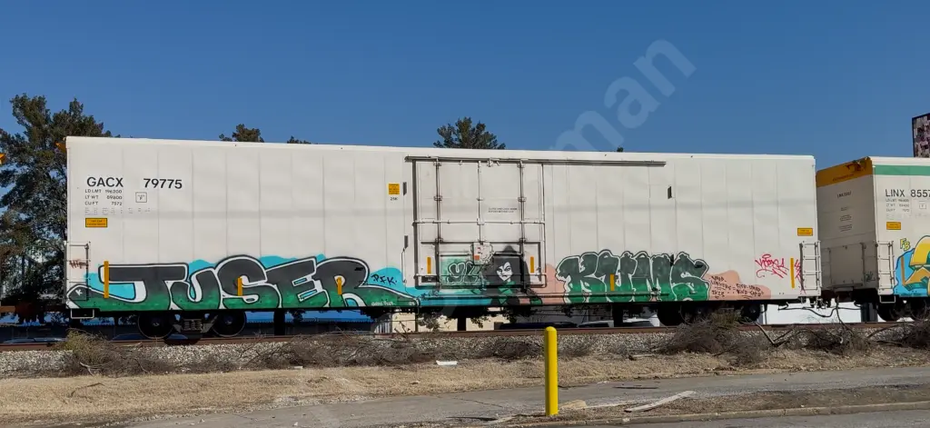GACX79775 - NORTH-AMERICA