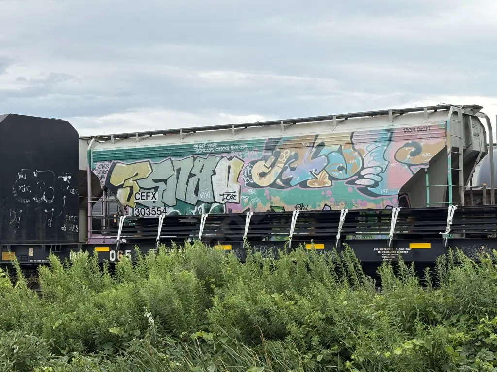 CEFX303554 - NORTH-AMERICA