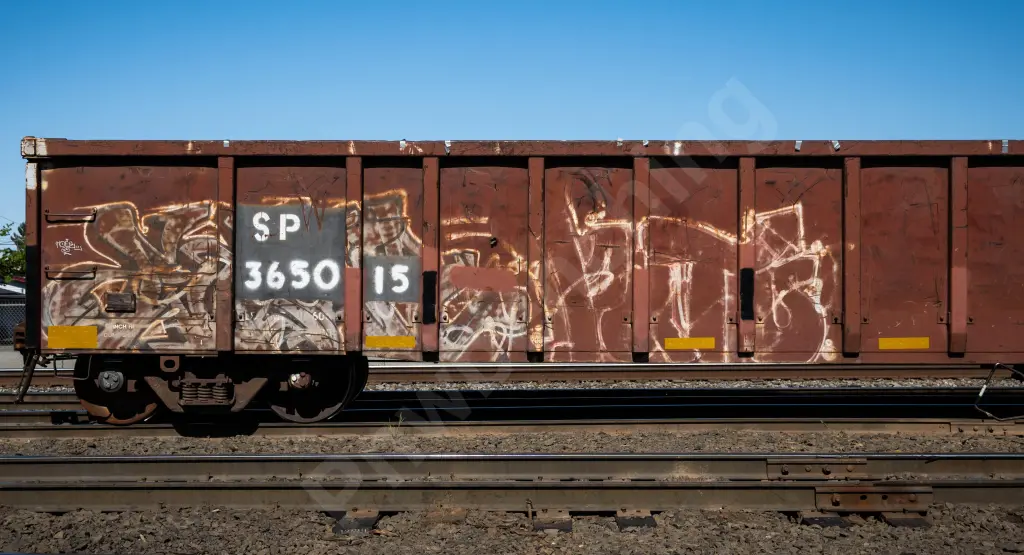 SP365015 - NORTH-AMERICA