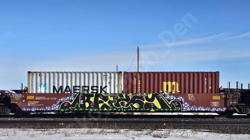 BNSF239023 - NORTH-AMERICA