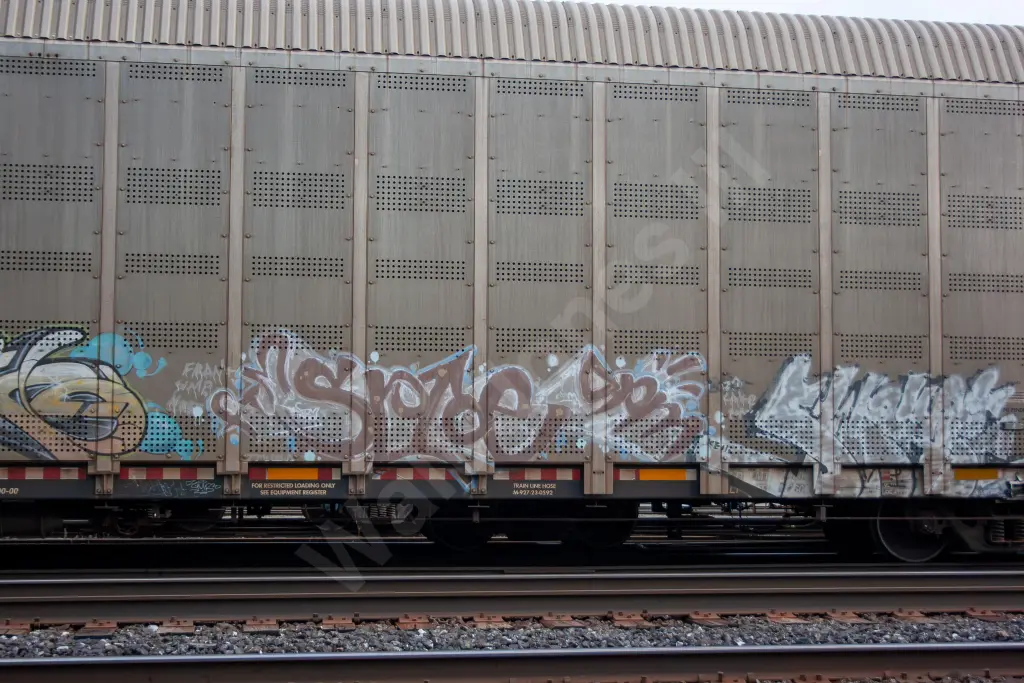 CP546107 - NORTH-AMERICA
