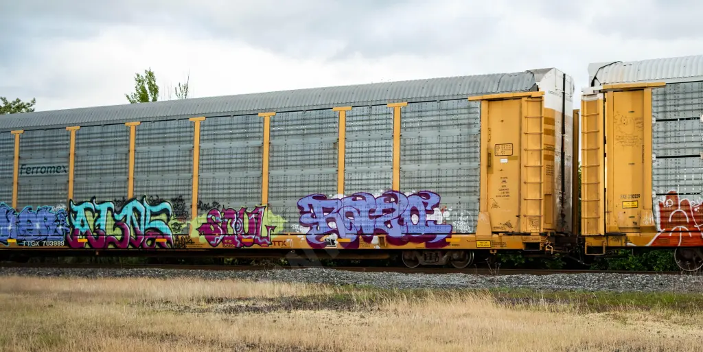 TTGX703989 - NORTH-AMERICA