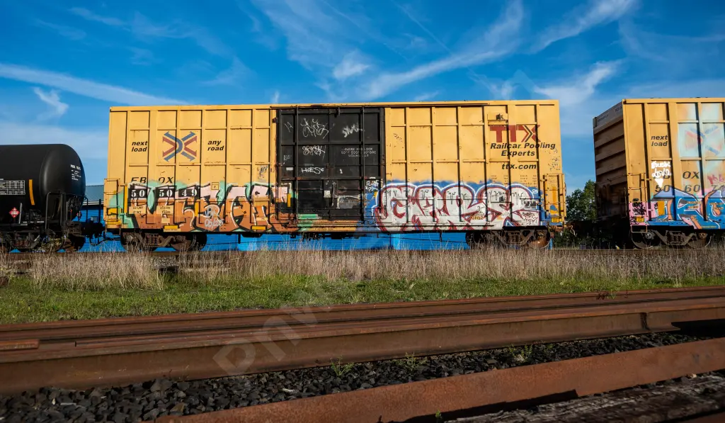 FBOX505049 - NORTH-AMERICA