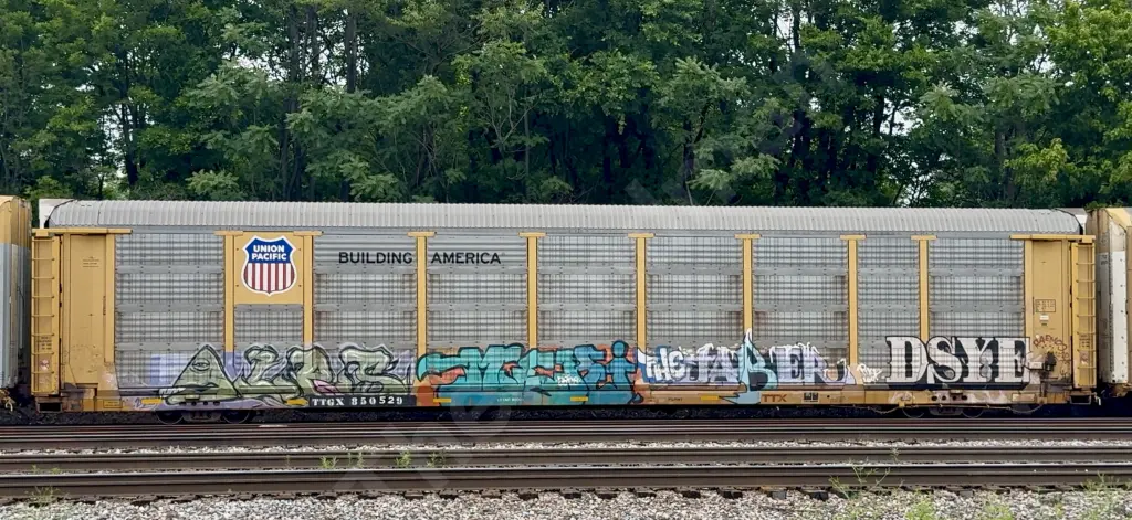 TTGX850529 - NORTH-AMERICA