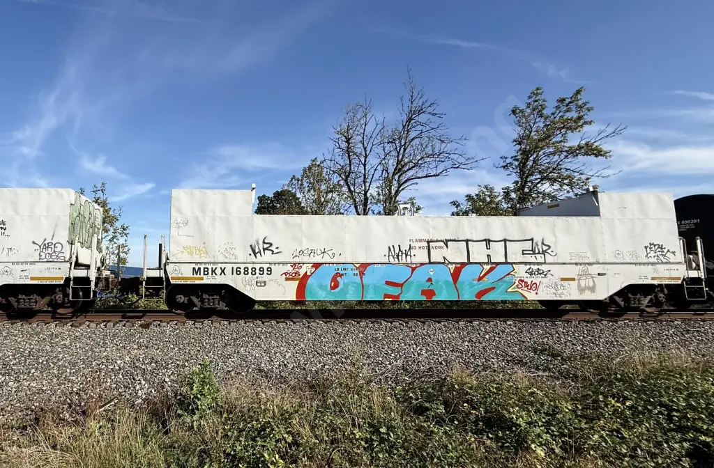 MBKX168899 - NORTH-AMERICA