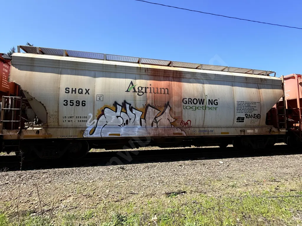 SHQX3596 - NORTH-AMERICA