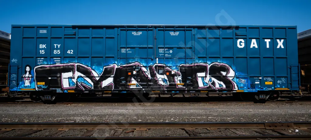 BKTY158542 - NORTH-AMERICA