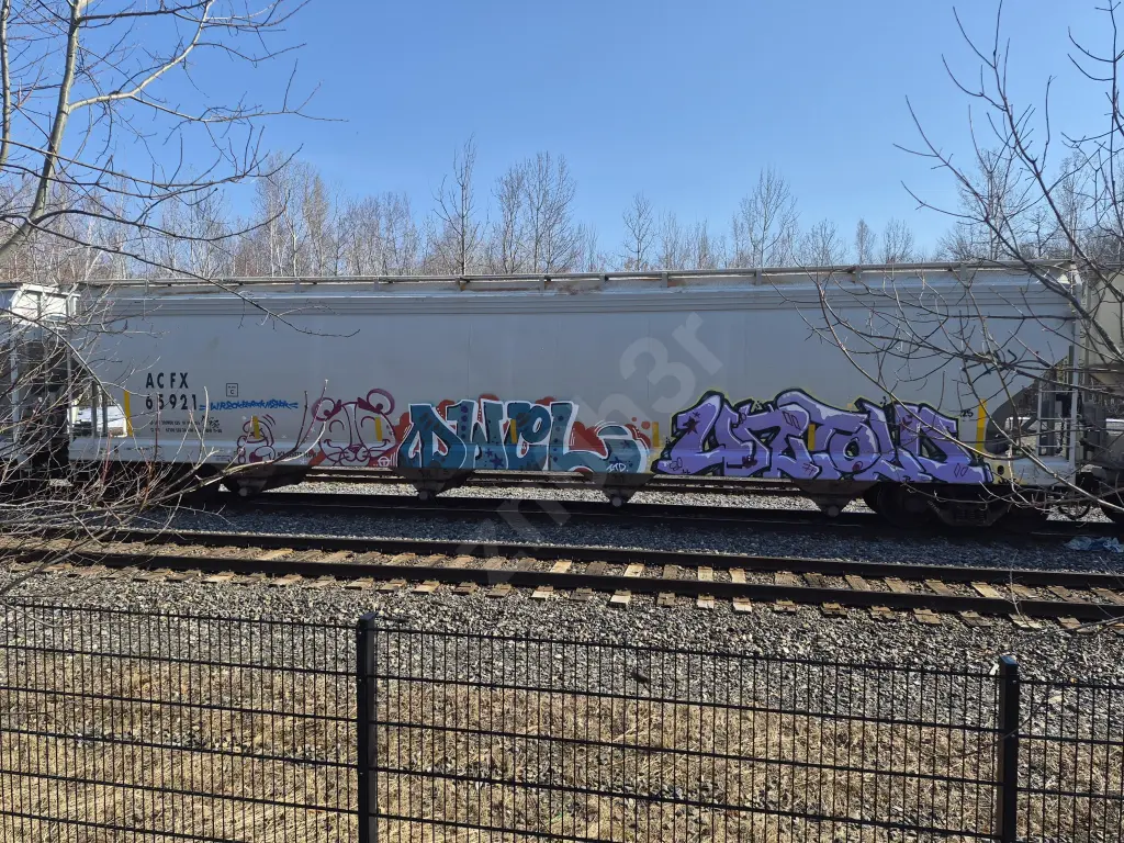 ACFX65921 - NORTH-AMERICA