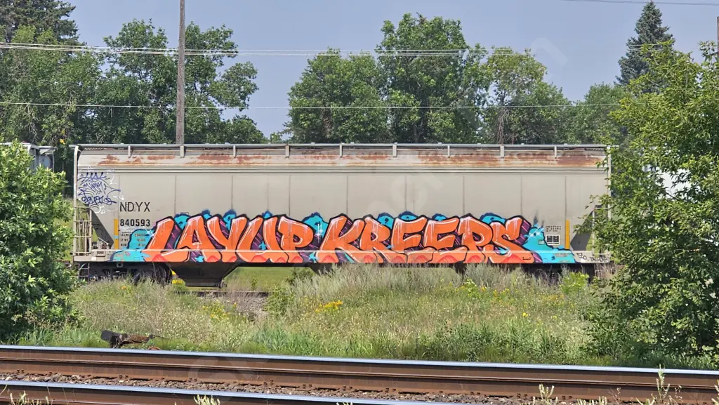 NDYX840593 - NORTH-AMERICA