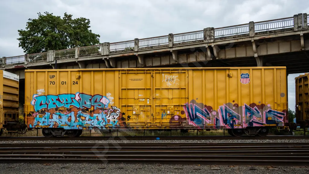 UP700124 - NORTH-AMERICA