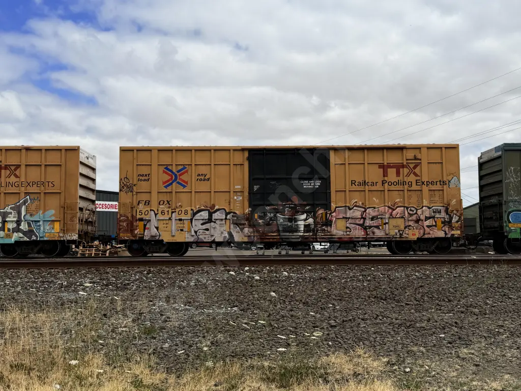FBOX506108 - NORTH-AMERICA