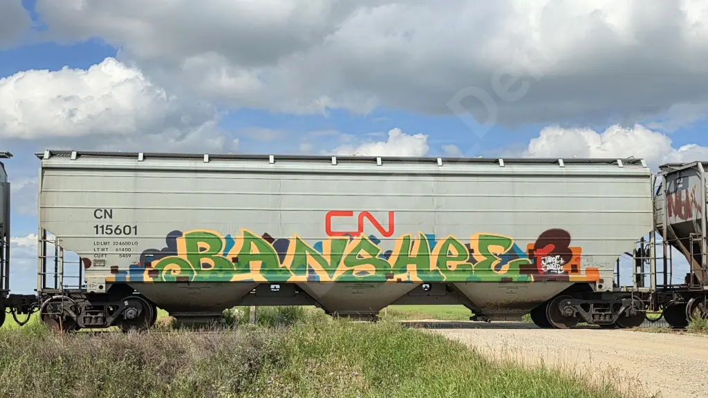 Train photo