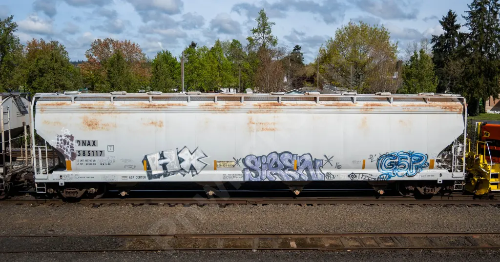 DNAX585117 - NORTH-AMERICA