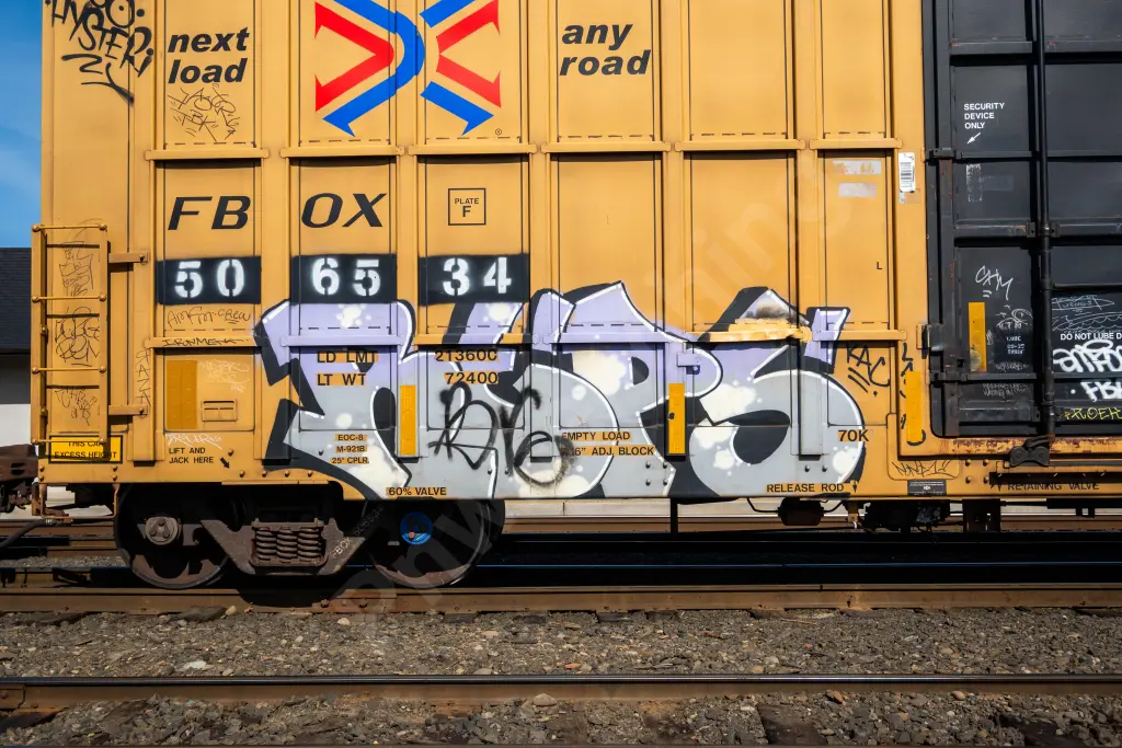 FBOX506534