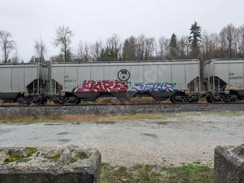CP655631 - NORTH-AMERICA