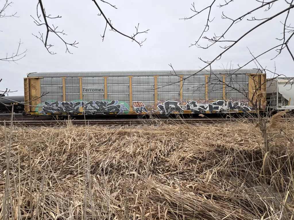 TTGX703936 - NORTH-AMERICA