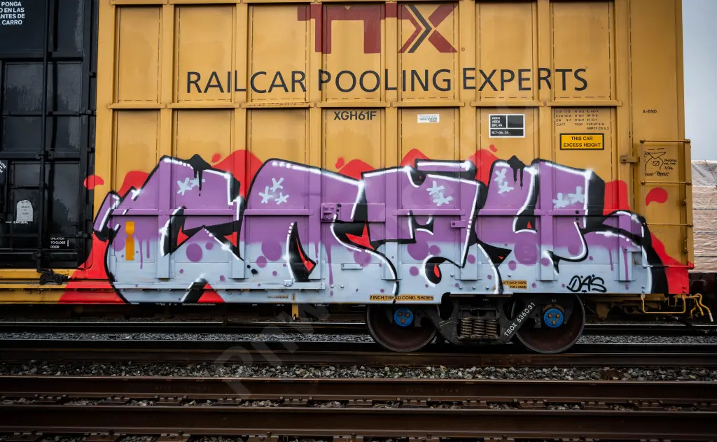 TBOX636031 - NORTH-AMERICA
