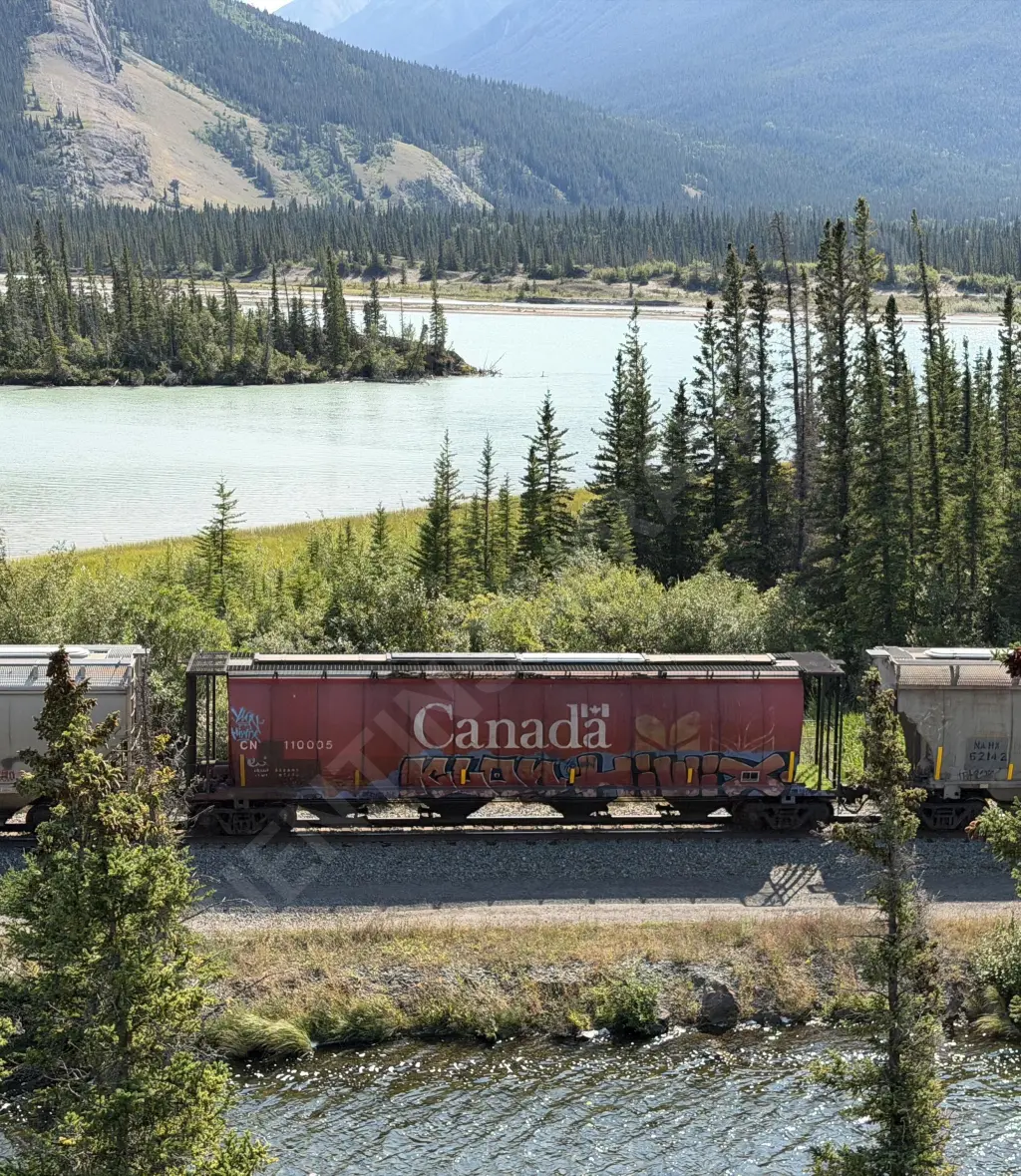 CN110005 - NORTH-AMERICA