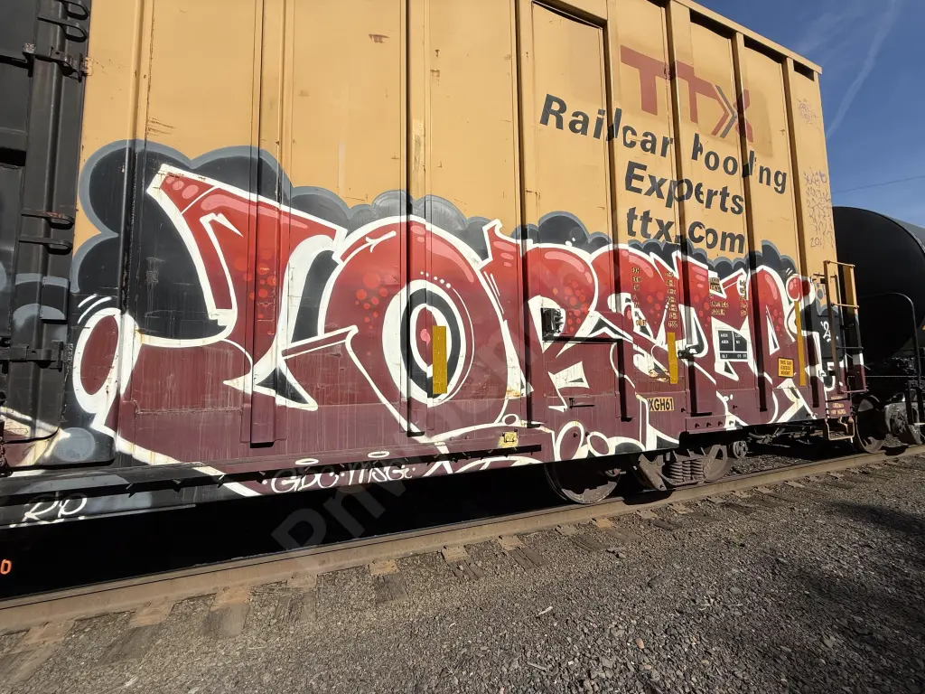 TBOX661155 - NORTH-AMERICA