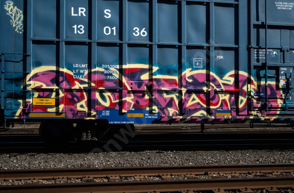 LRS130136 - NORTH-AMERICA