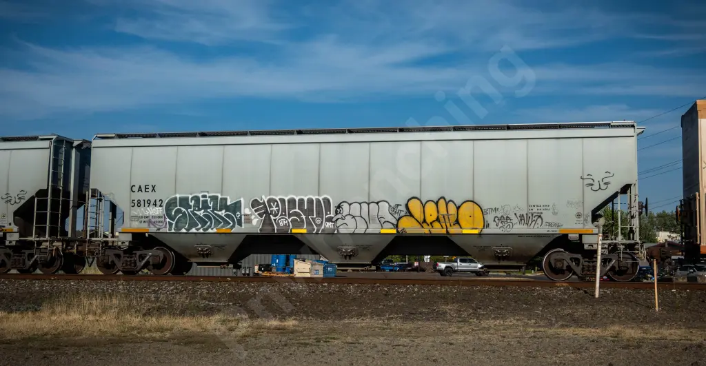 CAEX581942 - NORTH-AMERICA