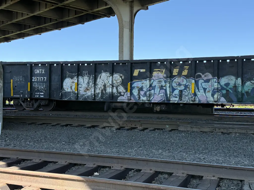 GNTX297177 - NORTH-AMERICA