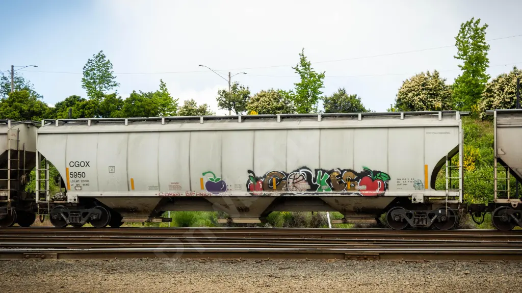 CGOX5950 - NORTH-AMERICA