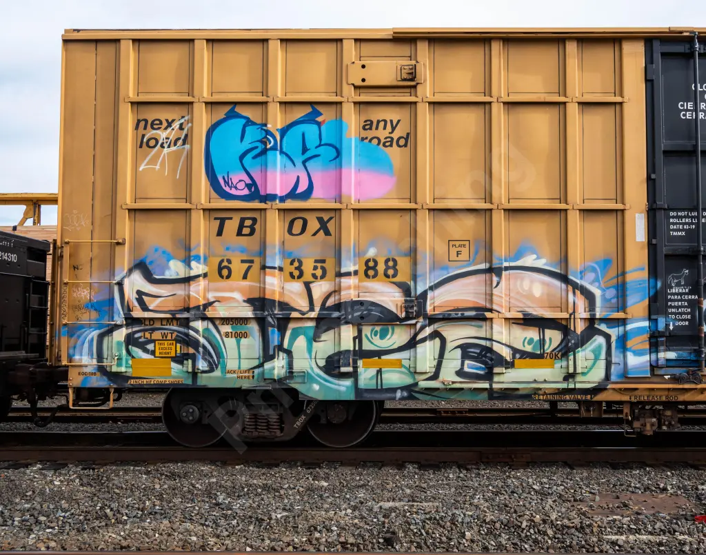 TBOX673588 - NORTH-AMERICA