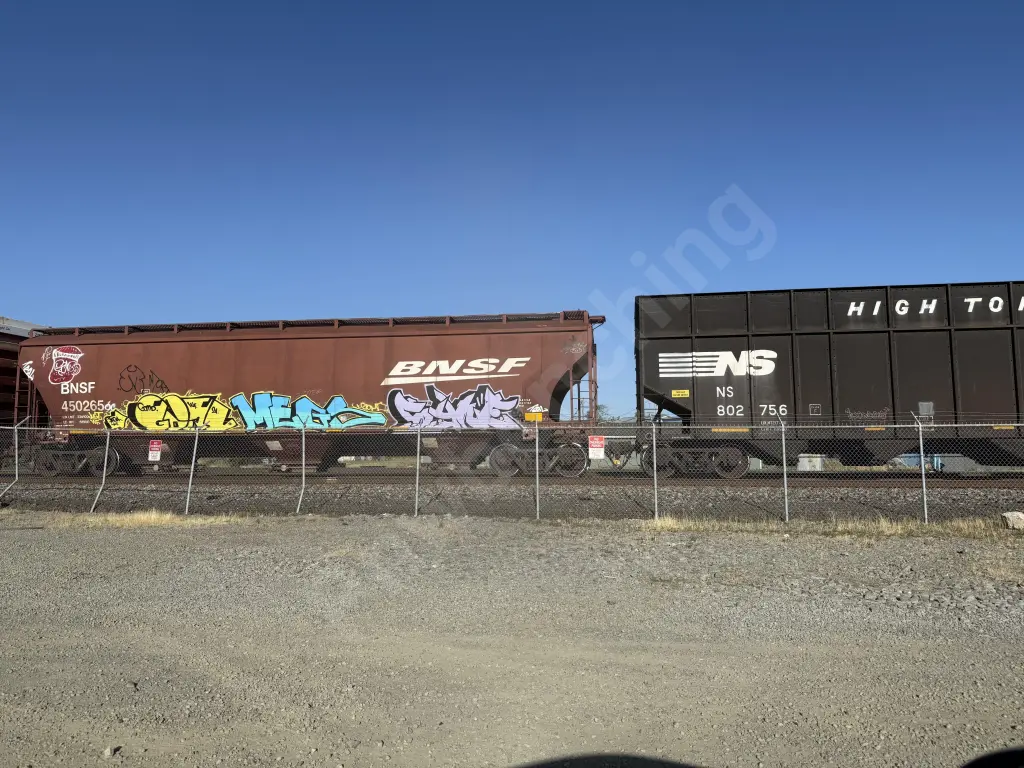 BNSF450265 - NORTH-AMERICA