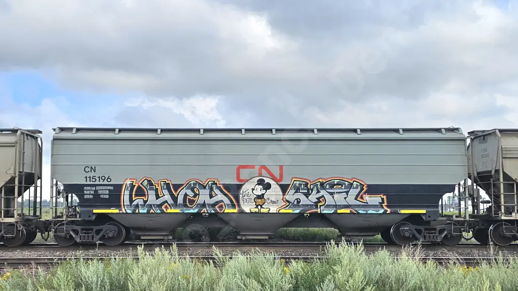 CN115196 - NORTH-AMERICA