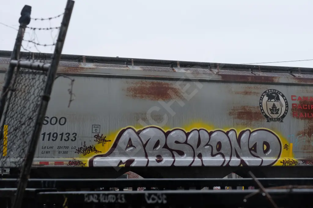 SOO119133 - NORTH-AMERICA