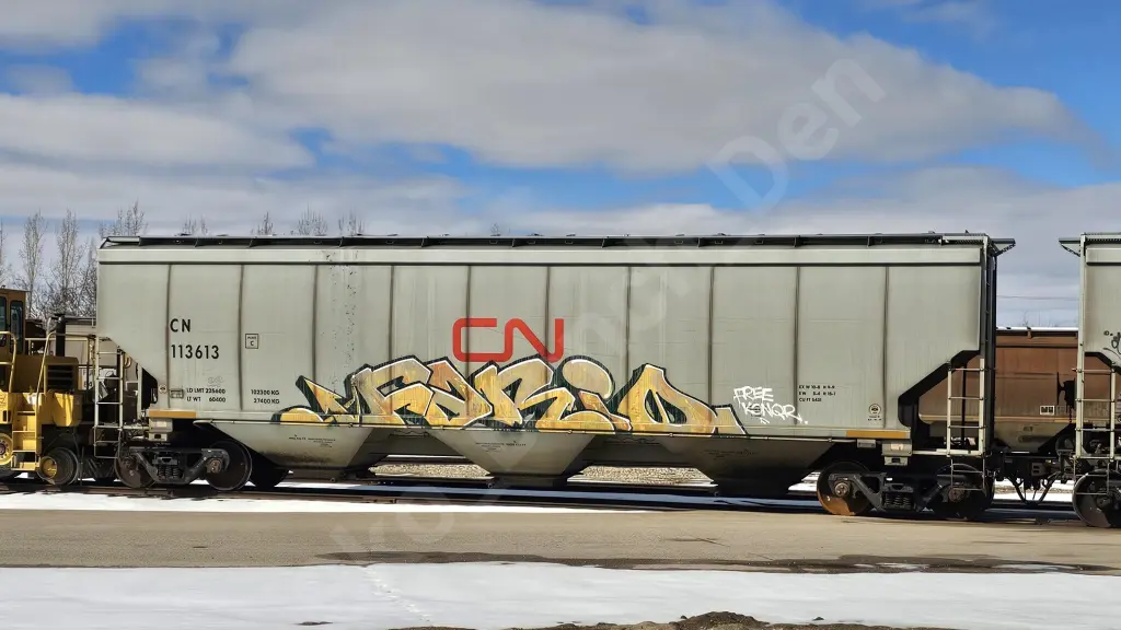 CN113613 - NORTH-AMERICA