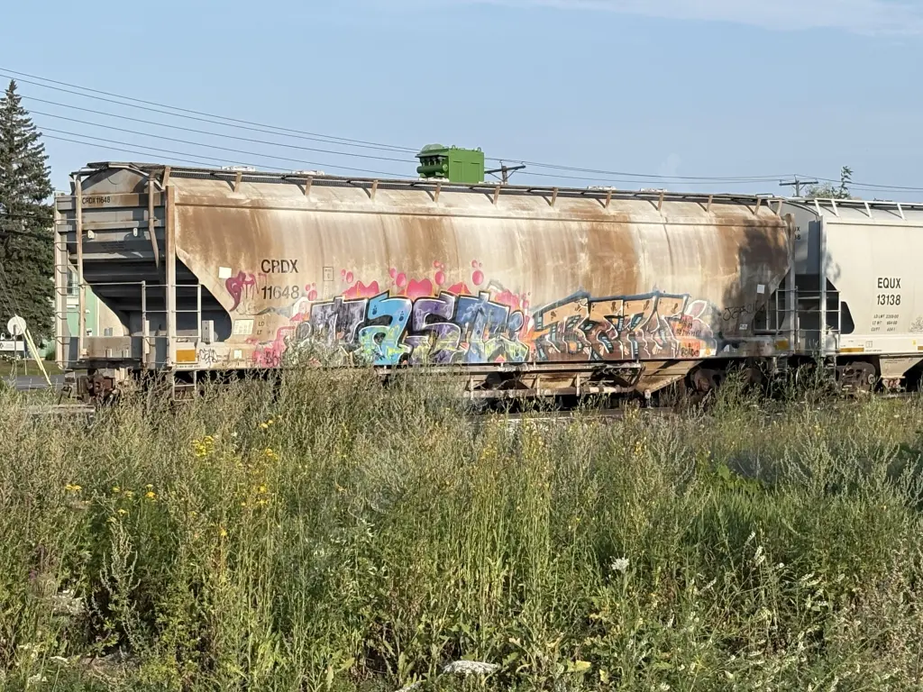 CRDX11648 - NORTH-AMERICA