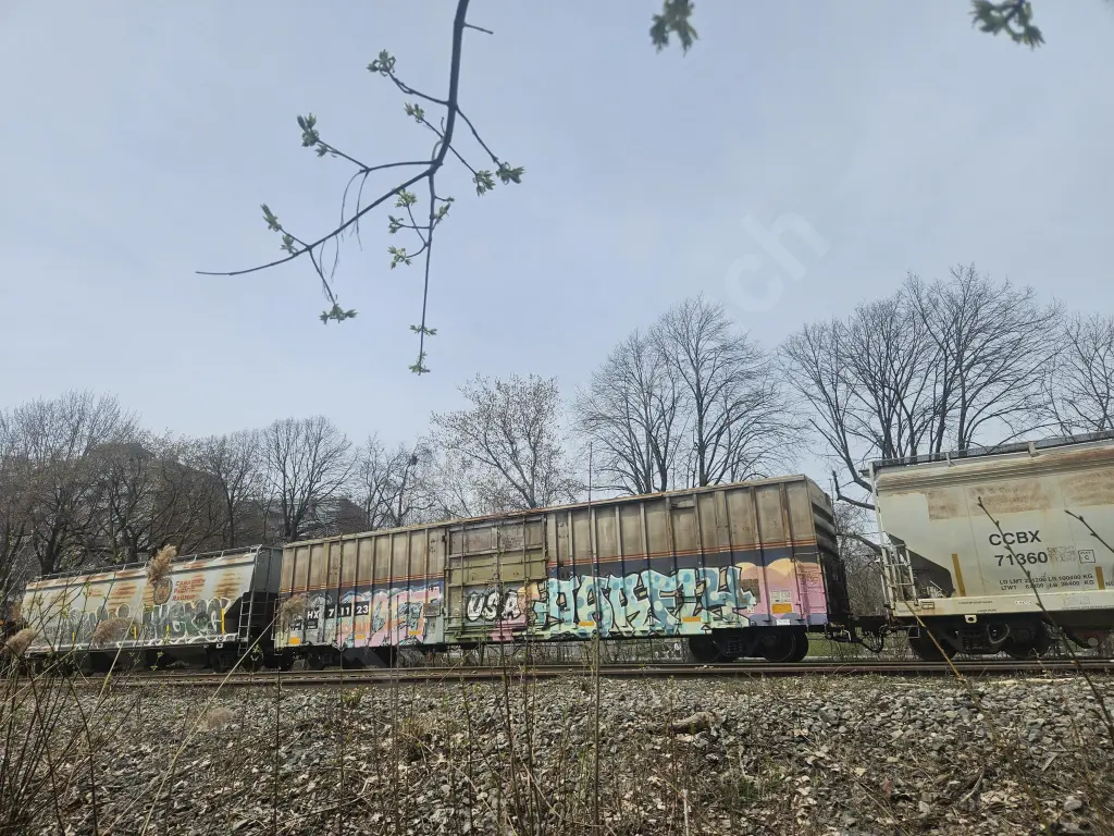CMHX71123 - NORTH-AMERICA