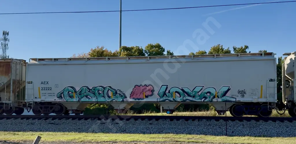 AEX22222 - NORTH-AMERICA