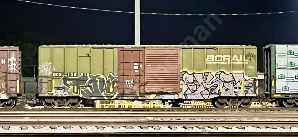BCOL100310 - NORTH-AMERICA