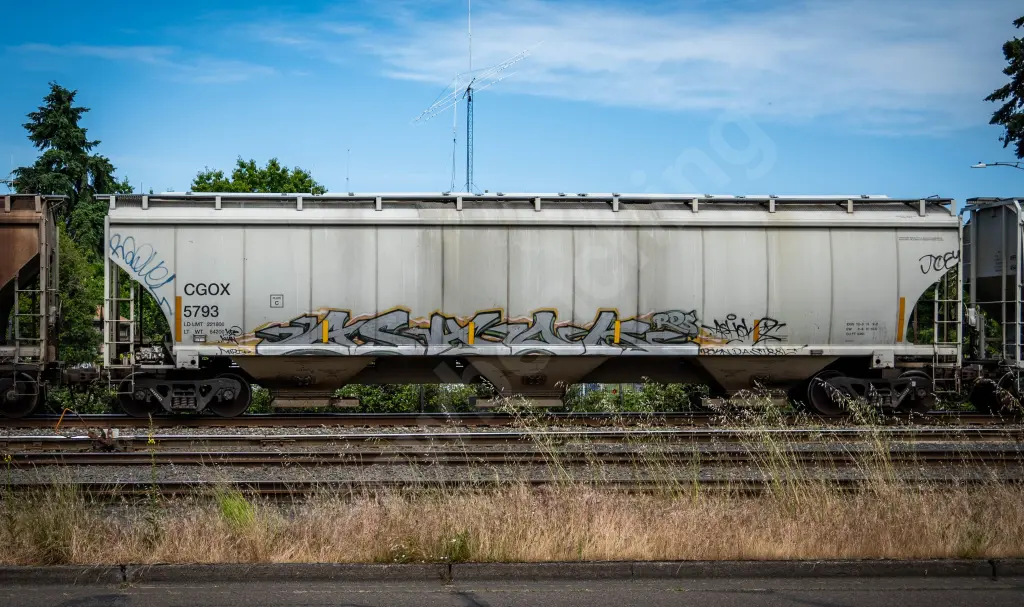 CGOX5793 - NORTH-AMERICA