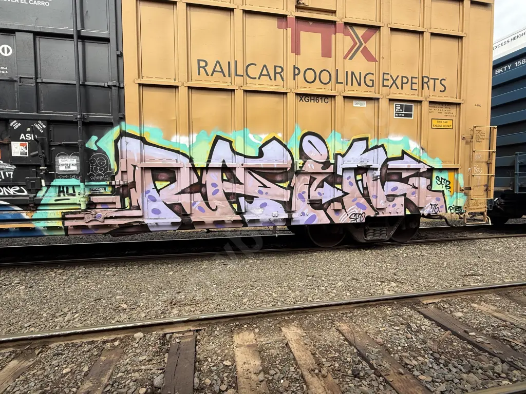 TBOX631242 - NORTH-AMERICA