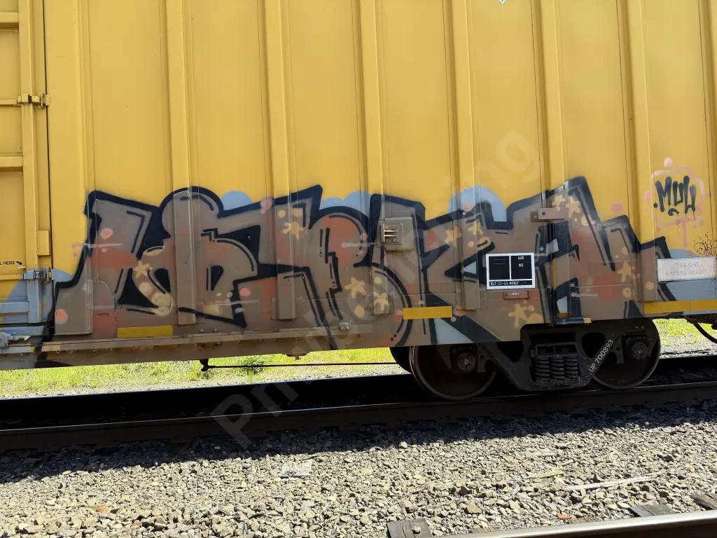 UP700893 - NORTH-AMERICA