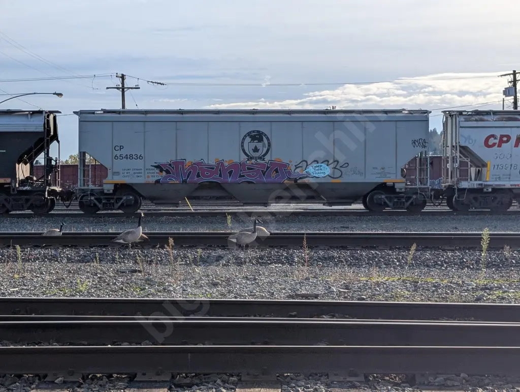 CP654836 - NORTH-AMERICA