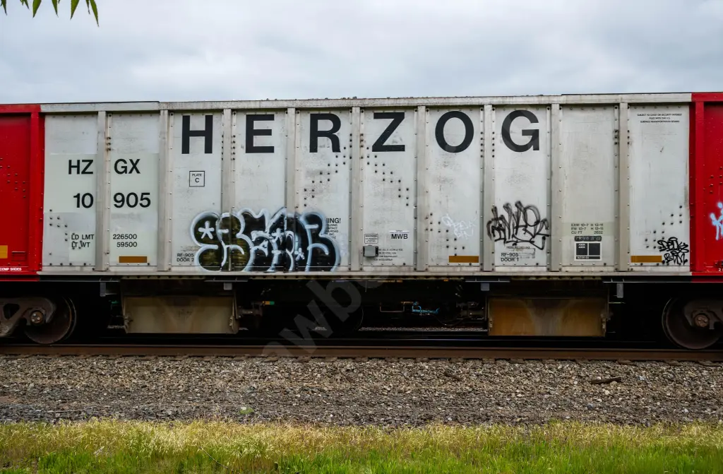 HZGX10905 - NORTH-AMERICA