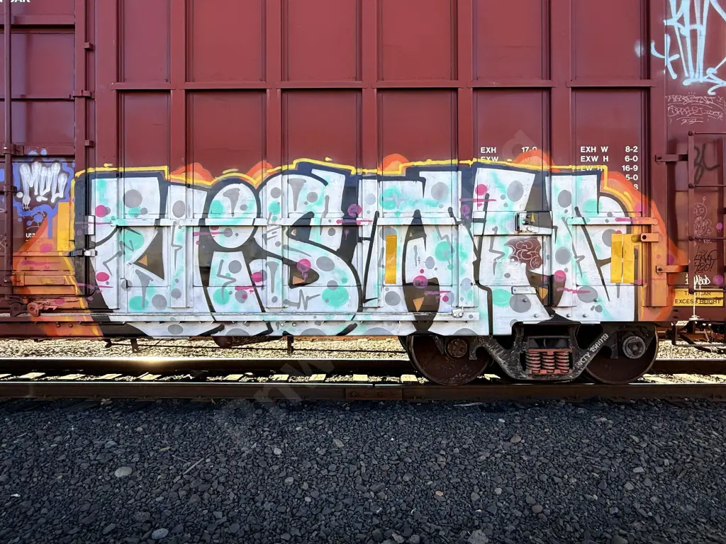 BKTY156919 - NORTH-AMERICA