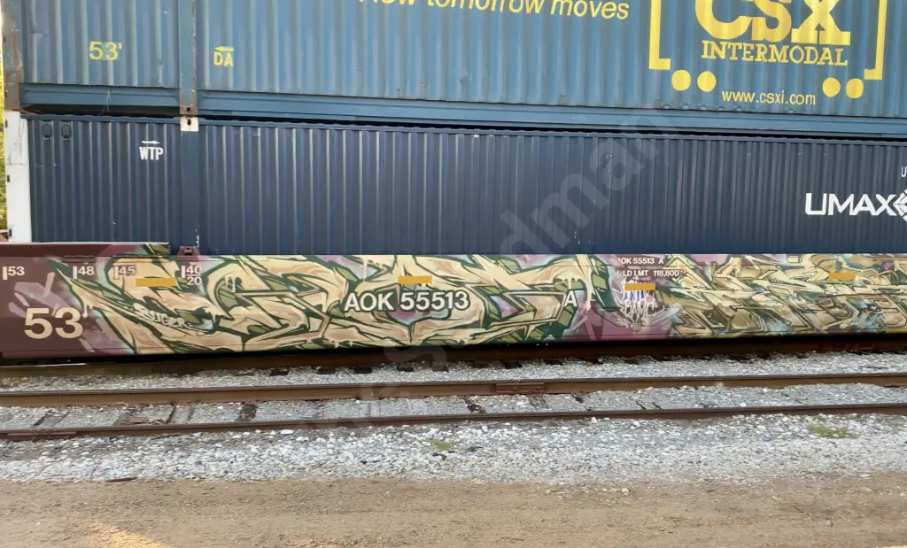 AOK55513 - NORTH-AMERICA
