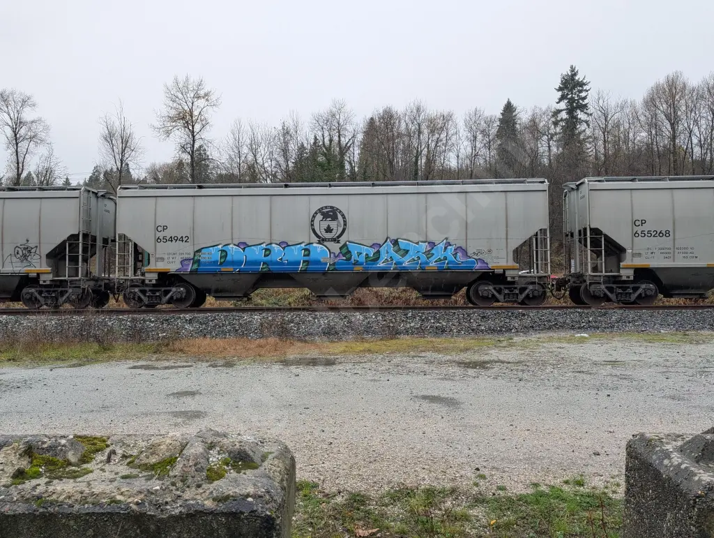 CP654942 - NORTH-AMERICA