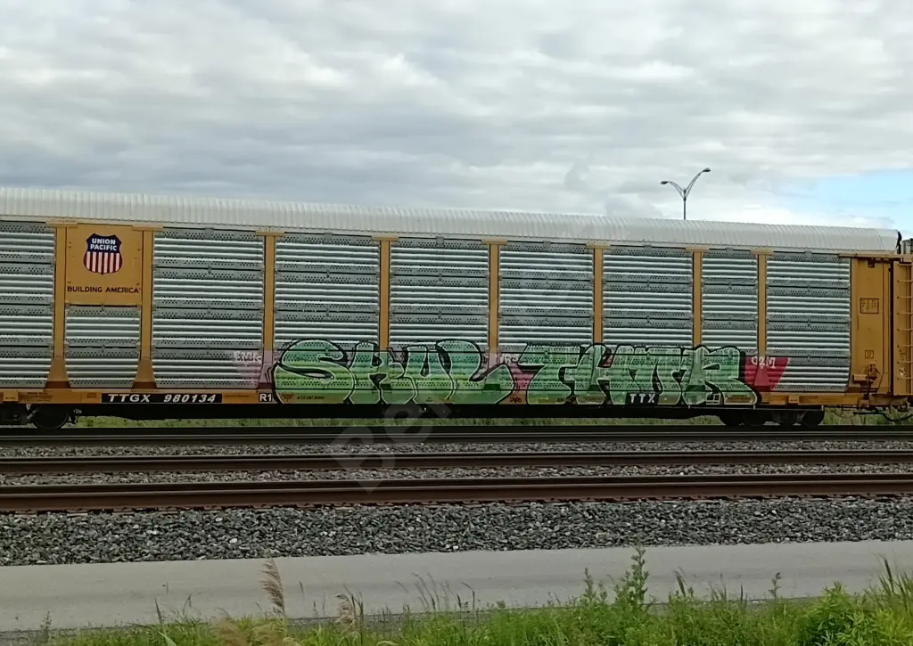 TTGX980134 - NORTH-AMERICA
